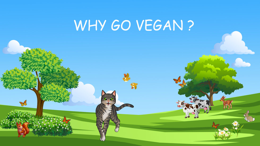 Why go vegan...?